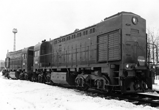ТГМ5-001